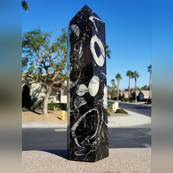 Beautiful & Tall Orthoceras Tower - Picture 6 of 16